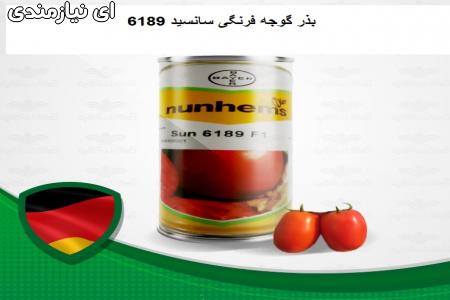 فروش بذر گوجه فرنگی سانسید6189
