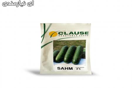 فروش بذر خیار کلوز( CLAUSE )