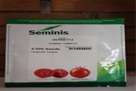 فروش بذر گوجه فرنگی برنتا سیمینس