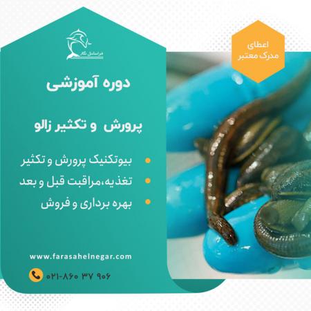 آموزش سیر تا پیاز پرورش و تکثیر صنعتی زالو