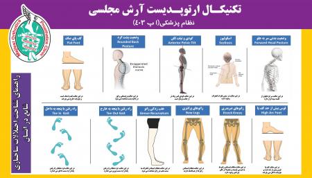 ارتوپدی فنی مجلسی - ارتروز، پروتز و اعضای مصنوعی