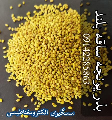 فروش بذر یونجه درجه یک