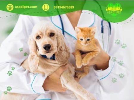 خدمات دامپزشکی شمال تهران