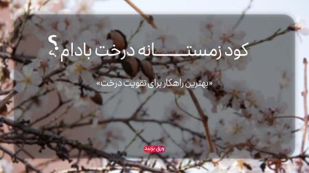 بهترین کود زمستانه برای درخت بادام