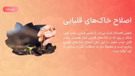 بهترین کود زمستانه برای درخت بادام