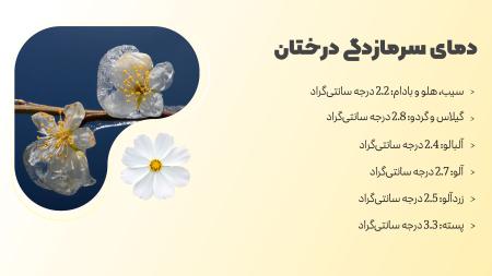 برای جلوگیری از سرمازدگی درختان باغ از این کودها استفاده کن!