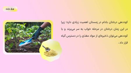 بهترین کود زمستانه برای درخت بادام