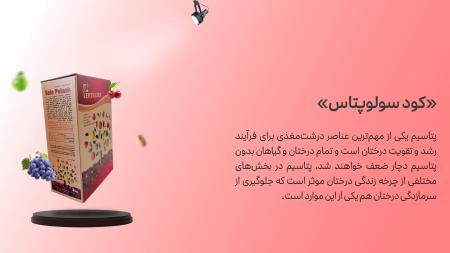 برای جلوگیری از سرمازدگی درختان باغ از این کودها استفاده کن!