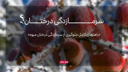 برای جلوگیری از سرمازدگی درختان باغ از این کودها استفاده کن!
