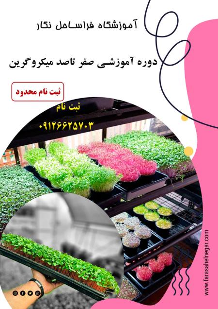 دوره آموزشی پرورش میکروگرین کاربردی