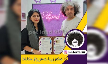 آموزشگاه تخصصی آرایش سگ