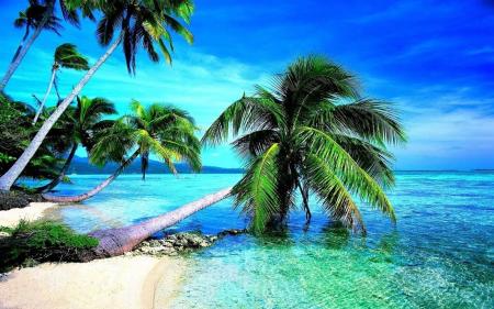 غروب های طلایی کیش؛ تجربه ای فراموش نشدنی