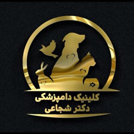 دامپزشک در خوانسار | پانسیون حیوانات خانگی در خوانسار